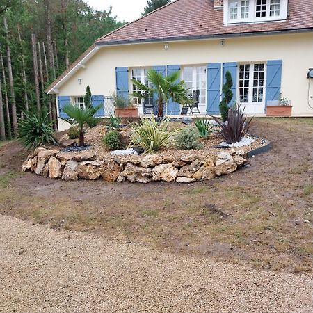 Le Clos Du Renard Sermaise  ภายนอก รูปภาพ